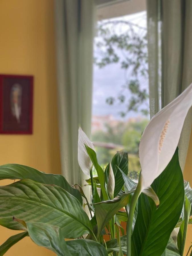 Art Apartment Julia Calpe Zewnętrze zdjęcie